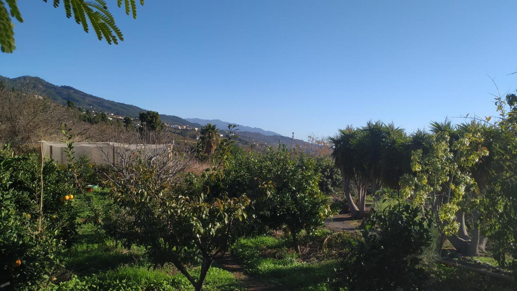 Finca Panorama Tijarafe Ngoại thất bức ảnh