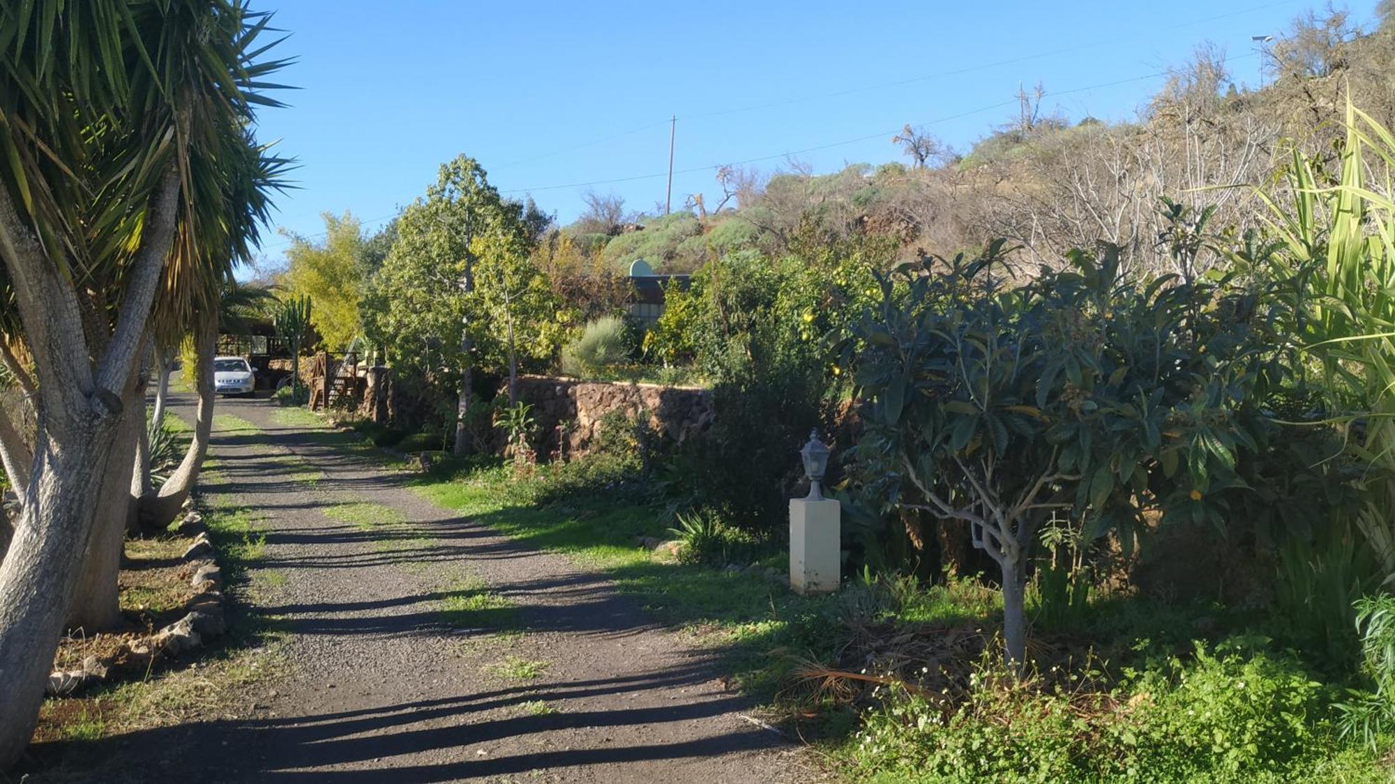 Finca Panorama Tijarafe Ngoại thất bức ảnh