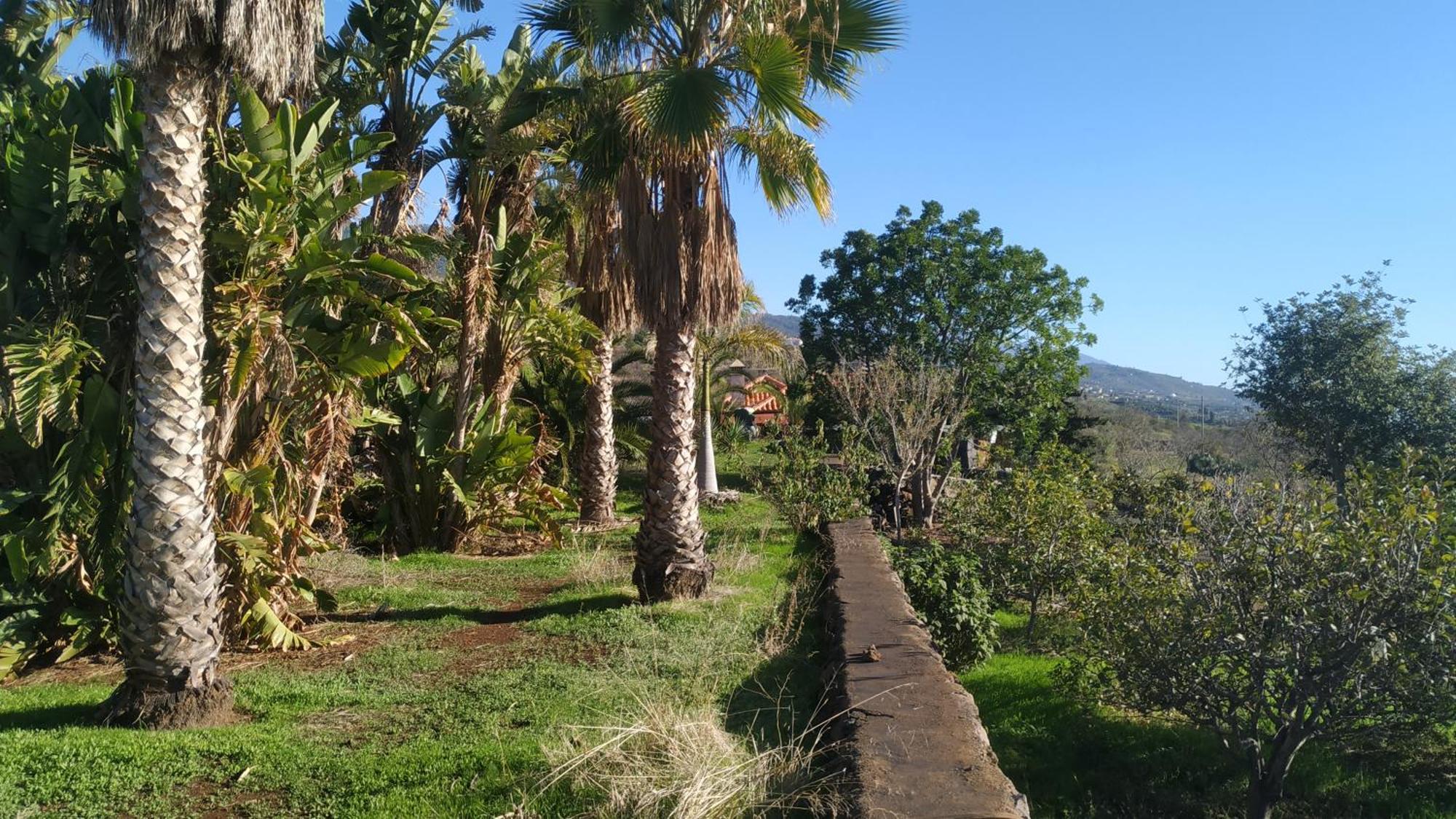 Finca Panorama Tijarafe Ngoại thất bức ảnh